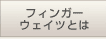 �t�B���K�[�E�F�C�c�Ƃ�